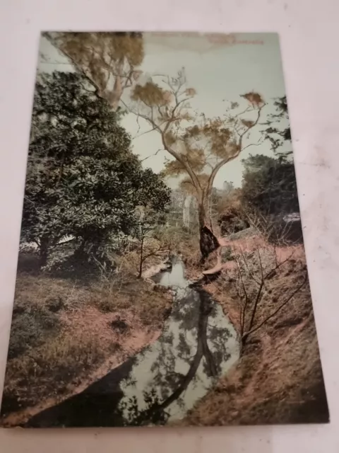 Postcard.  Botanic Park. Adelaide.  South Australia. Vintage.  c1910's