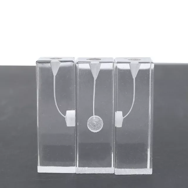 Dental Transparent Endo Training Blocks Root Canal Files Practice Tooth Model