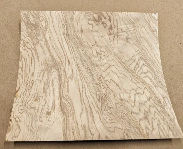 Olive Ash Burl real wood veneer 9" x 8" with paper backer AA grade 1/40" thick