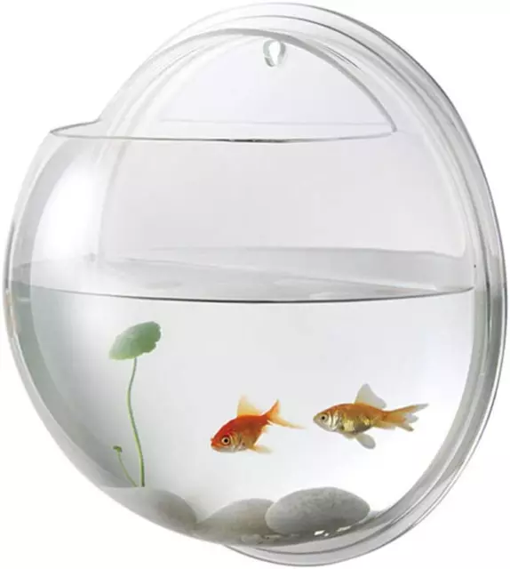 Fish Bowl - Wall Mounted Acrylic Transparent Mini Aquariums Betta Cups -Hanging