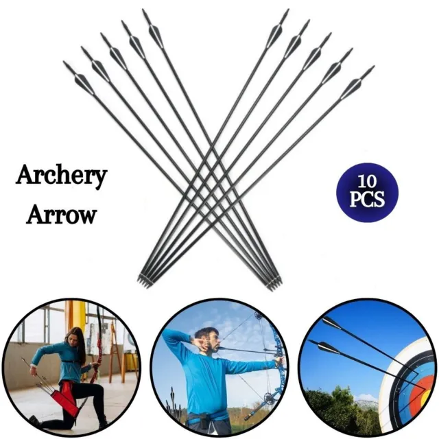 10X Fibreglass Archery Arrows Grade Spine Archery Arrow With Screw Tip Broadhead
