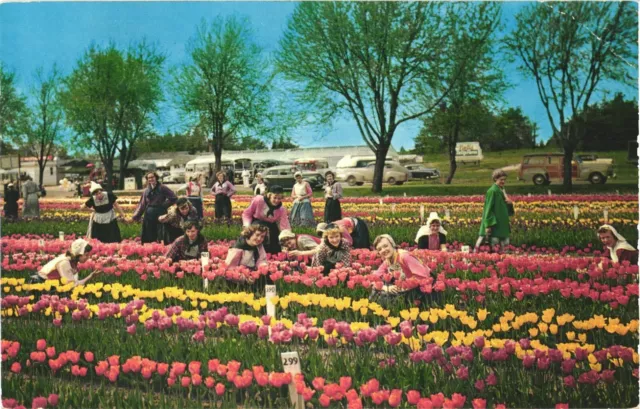 Women And Tulip Time In May At Nellis Tulip Farm, Holland, Michigan Postcard