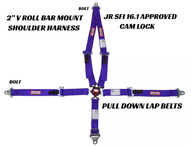 Jr Dragster Racing Harness 5 Pt Cam Lock 2" Sfi 16.1 V Mount Racerdirect Purple