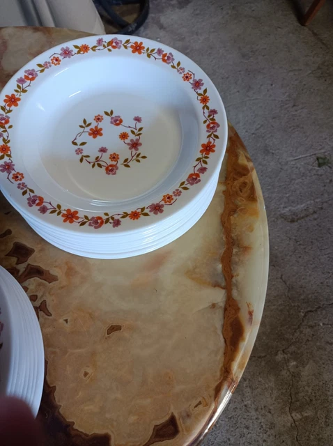 Assiettes plates Arcopal fleur lotus ancienne vintage Lot de 6 brocanteespritdantan