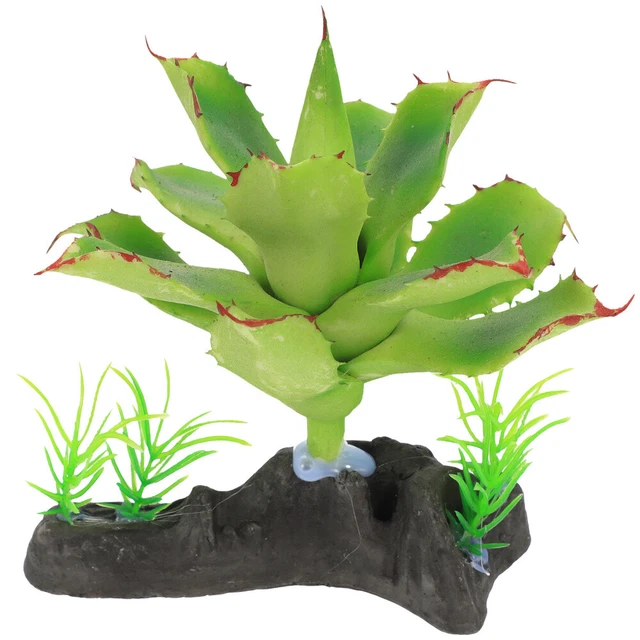 Terrario In Acrilico AIICIOO Per Rettili 20x15x35 Cm | Portatile, Trasparente | Per Draghi Barbuti, Ragni, Scorpioni - Foto 5