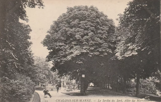 CPA 51 CHALONS sur MARNE Le Jardin du Jard Allée des Marronniers