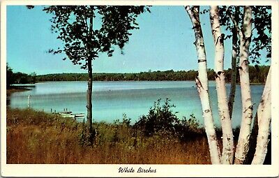 Greetings From The Corner Store Fountain City Wisconsin White Birches Postcard