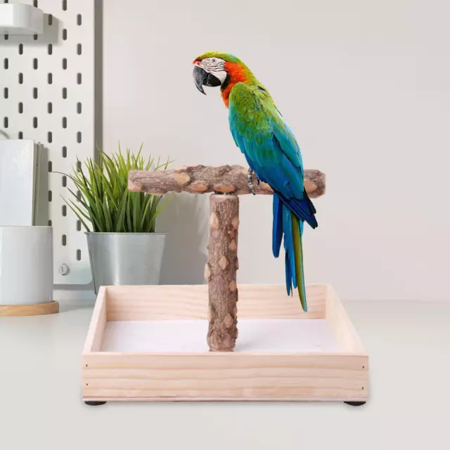 Bird Stand Macaws Parrot Bird Playground Wood Tree Perch for Desktop Indoor