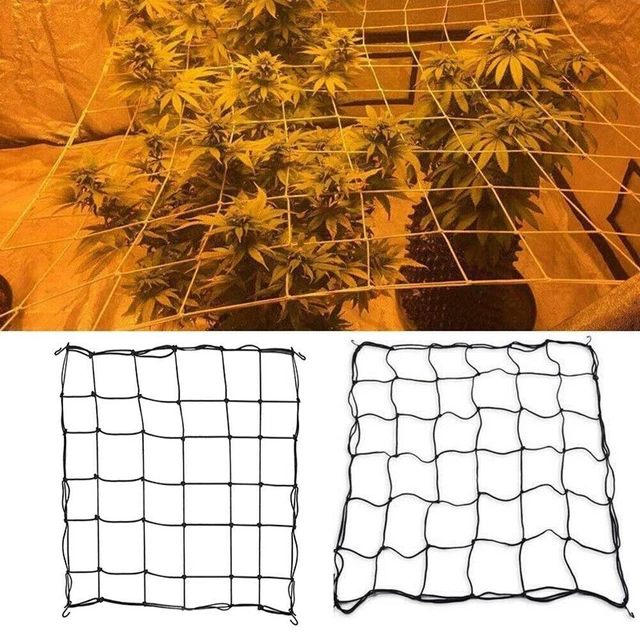Rete per traliccio - Supporto per piante a rete 150x150 cm -scrog