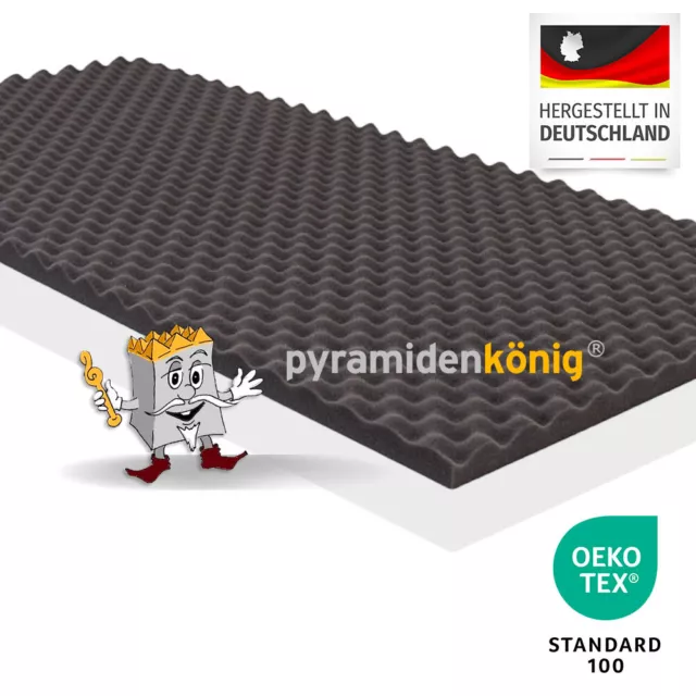 AKUSTIK  SCHAUMSTOFF PYRAMIDENSCHAUM SCHAUMSTOFF NOPPENSCHAUM 2cm und 3cm 2