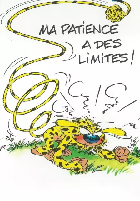 CPM - Postcard Marsupilami - " Demonstrates By Franquin " Ed Toucan - Ref 28