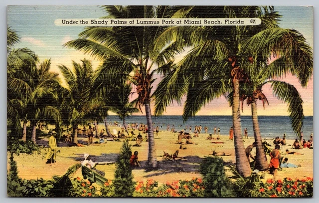 Shady Palms Lummus Park Miami Beach Florida Shoreline Oceanfront VNG Postcard