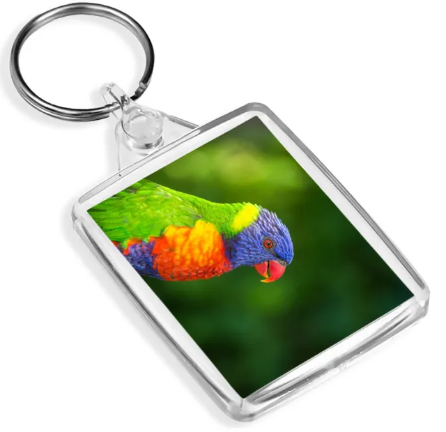 Beautiful Rainbow Lorrikeet Keyring Jungle Birds Animals Colourful Gift #16201