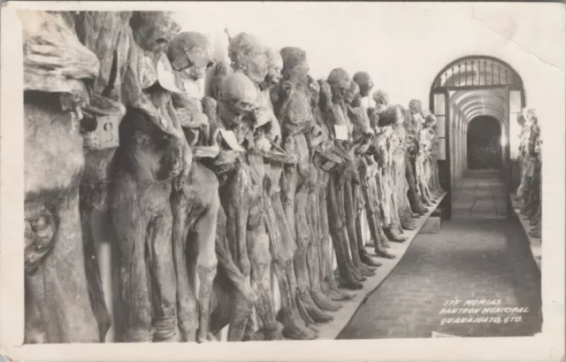 MR ALE PC RPPC Mummies on Display Panteon Museum Guanajuato Mexico UNP B1352