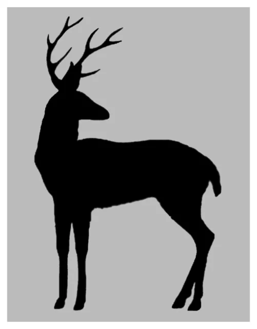 White-Tailed Deer Buck 8.5" x 11" Custom Stencil FAST FREE SHIPPING