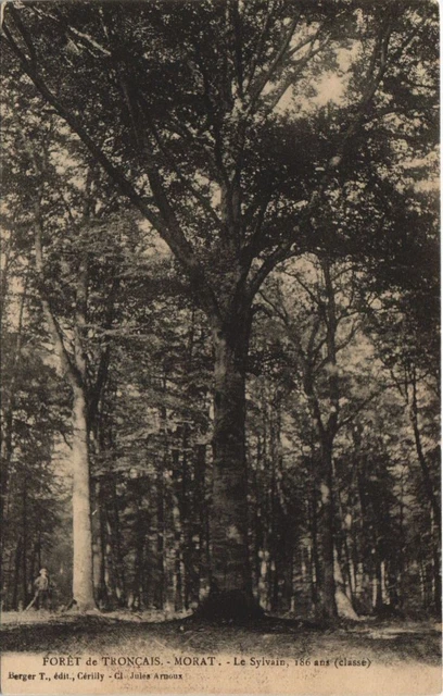 CPA MORAT Foret de TRONCAIS Le Sylvain (48701)