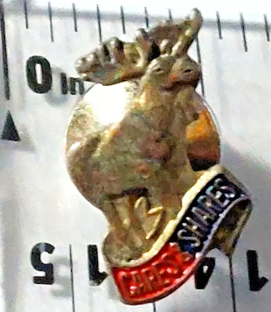 Moose CARES & SHARES Lapel Pin (052723)