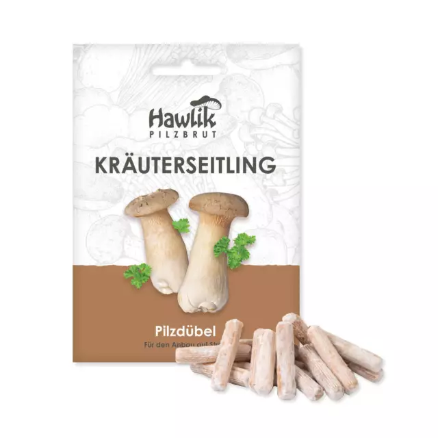 Kräuterseitling Dübel, Pilze selber züchten, Pilzzucht, Pilzbrut.de, Hawlik