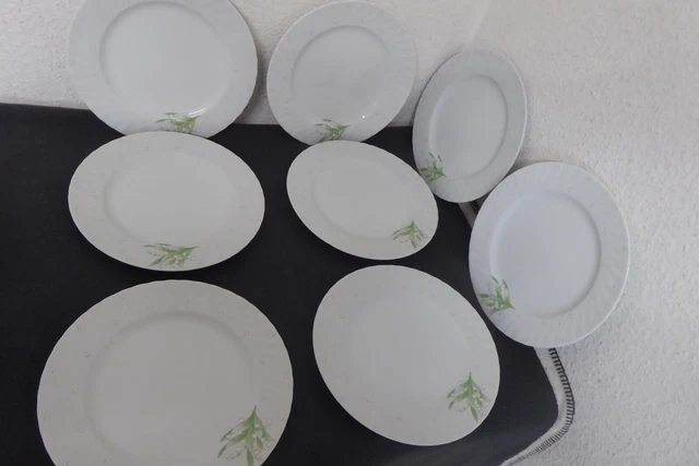 8 x Seltmann Weiden Regina Maiglöckchen Speiseteller  Teller 0