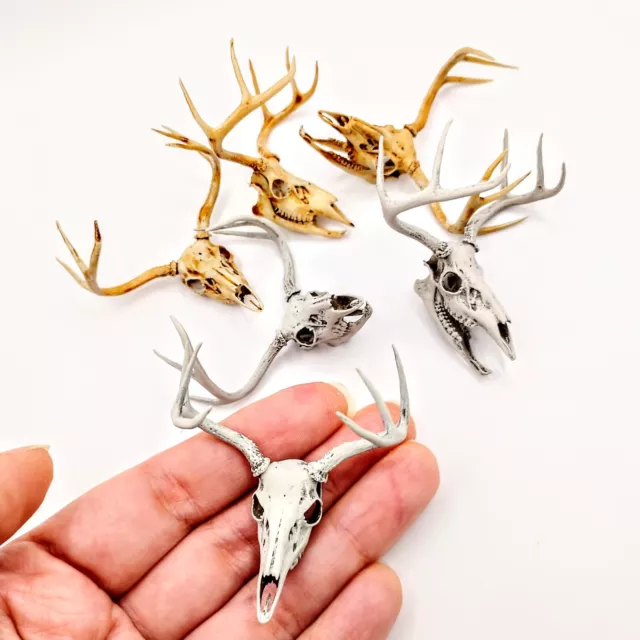 White Tail Deer Skull 1:12 Scale Artisan Diorama Dollhouse Miniature Models