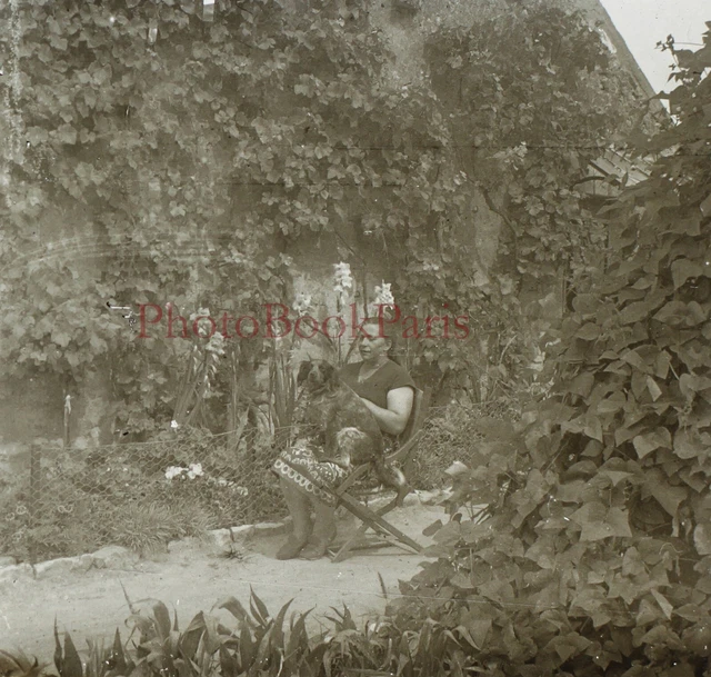 Femme avec son chien Jardin c1950 Photo Plaque de verre Stereo Vintage V15L32n16