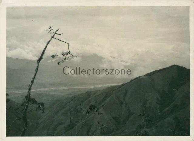 Jungle Ridge WWII AUSTRALIAN ARMY Battle Shaggy Ridge Finistere Range Jungle Ridge ...