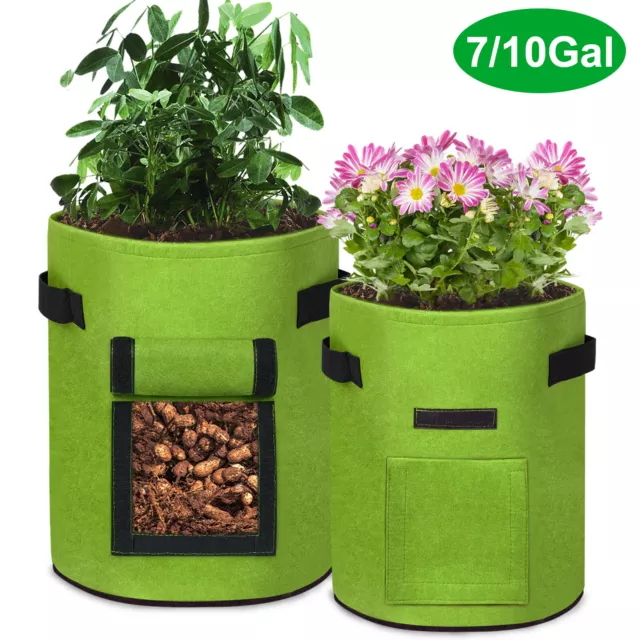 Pflanzsack Kartoffel Grün Pflanztasche Pflanzen Tasche Kartoffeln 7/10 Gallon