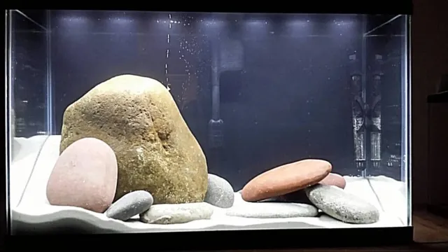 Super White Fish Tank Aquarium Sand  Cichlid / Stingrays/  Discus  42 Lb's 10