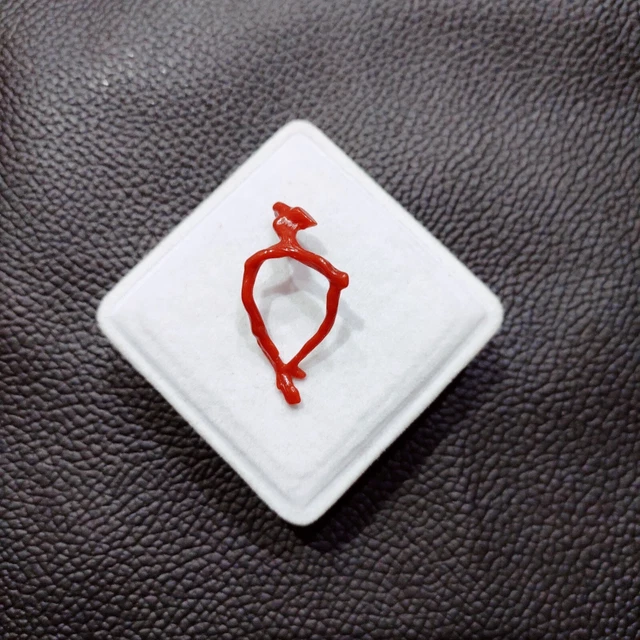 Branche De Corail Rouge Naturel D'Italie - Pierre Précieuse Non Traitée, 31,65 Carats