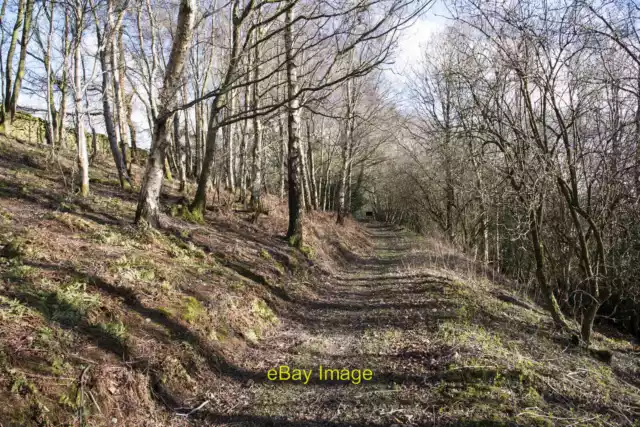 Photo 12x8 Path at south end of Baal Hill Wood Upper Town/NZ0737 The wood c2022