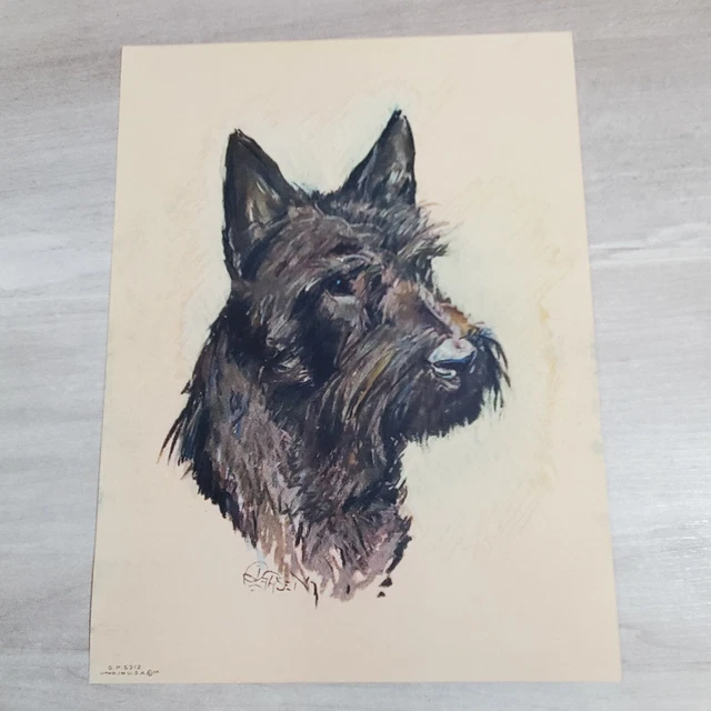 Vintage Dog Print Litho Scottie Terrier  Dog Made in USA  GP 5312