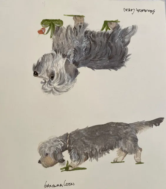 Dandie Dinmont Terrier -2- Original Watercolor Painting  by Sandra Coen