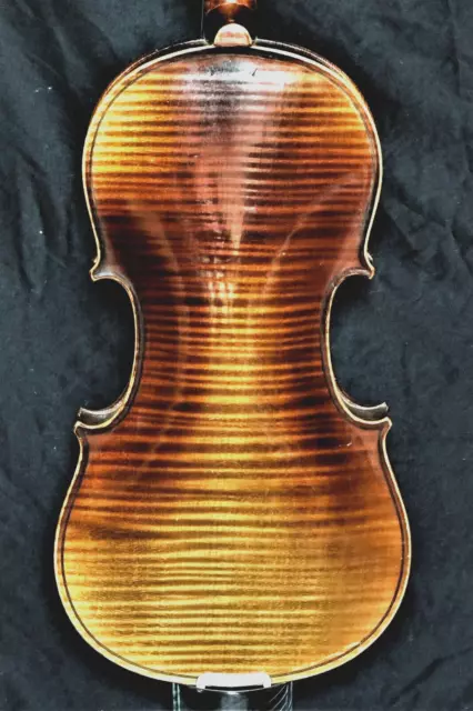 Alte Geige n. "M.A. BERGONZI CREMONA 1755" - Fantastic old violin