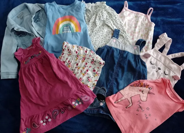Bundle Baby Girls Spring Clothes Age 12 - 18 Months