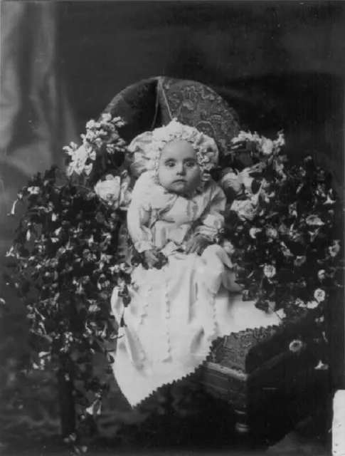Antique Post Mortem Baby Photo 131b Oddleys Strange & Bizarre