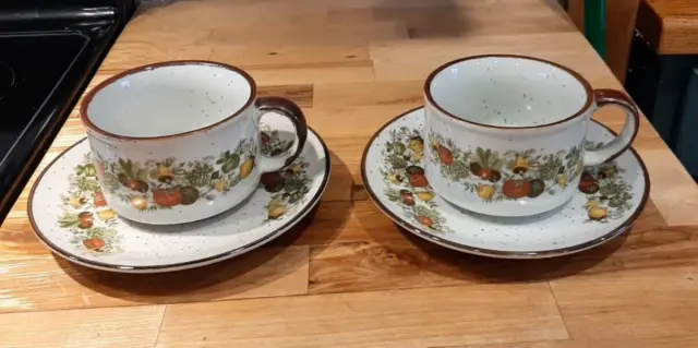 Soup Bowl Mugs Cup & Saucer Spice of Life Vegetables  2 sets Speckled Vintage