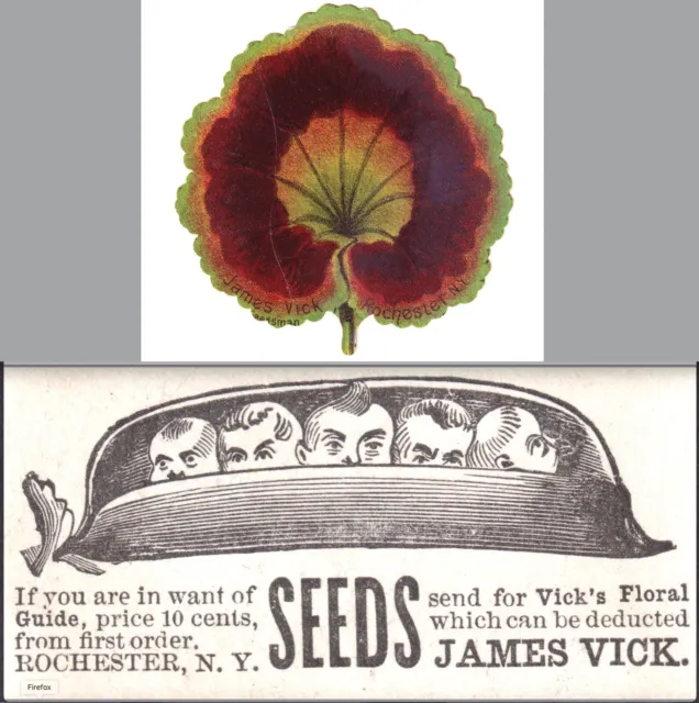 Antique Vick Seeds Flower Garden 1800's Rochester NY DieCut Victorian Trade Card