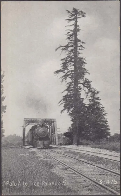 Southern Pacific RR passing Palo Alto Tree CA postcard c 1915