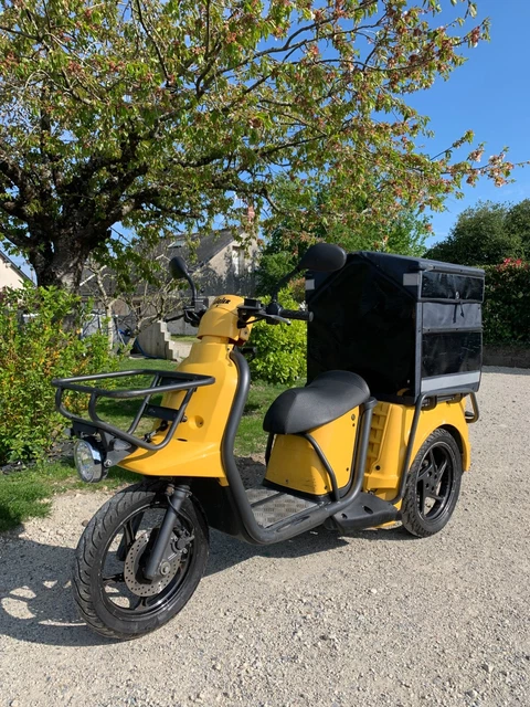 Scooter Utilitaires,Electrique  Staby Ligier Pulse 3 Système Pendulaire