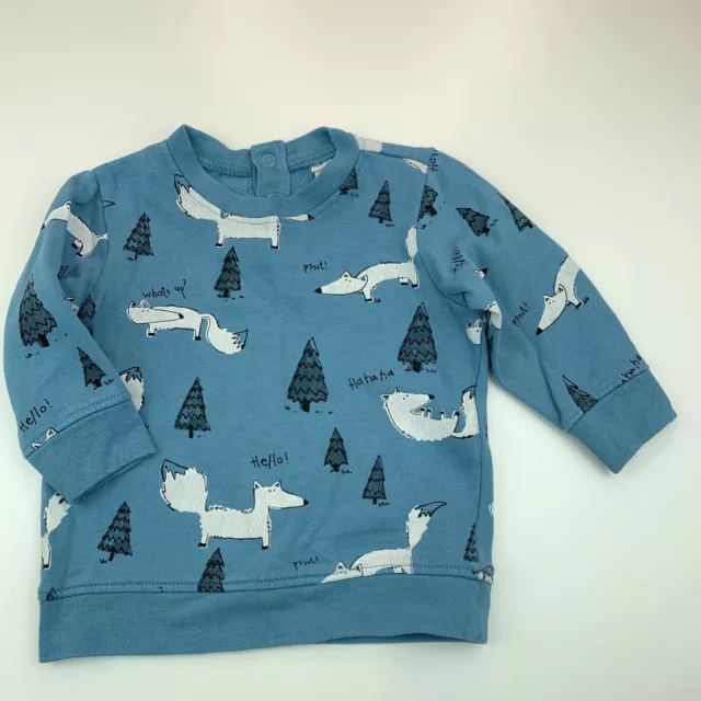 Boys size 00, H&M, blue fleece lined sweater, jumper, FUC