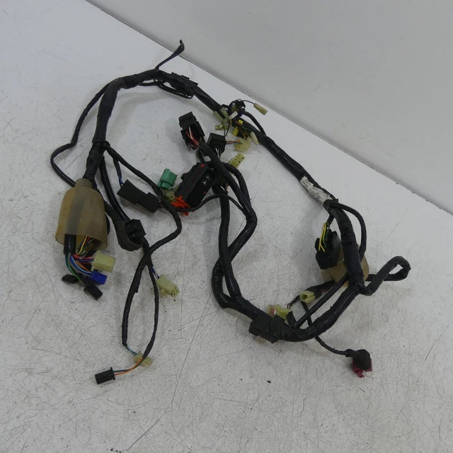Honda CBF 600 PC38 EZ:04 Cablaggio Cavo Elettrico Spina B3410