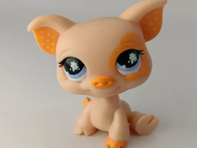 petshop authentic LPS Cochon Orange Peach Pig Piggy rare #885 hasbro