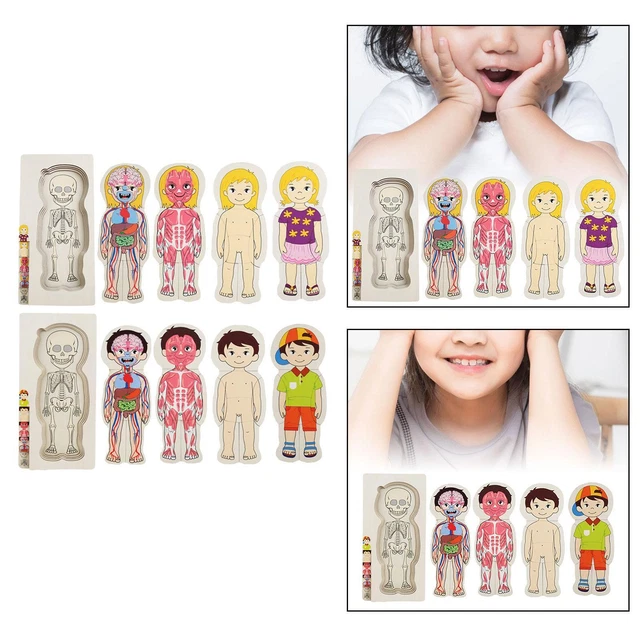 WOOD PUZZLE HUMAN Body Toy Anatomy Play Set Jigsaw Board Teaching Tool £16.20 PicClick UK