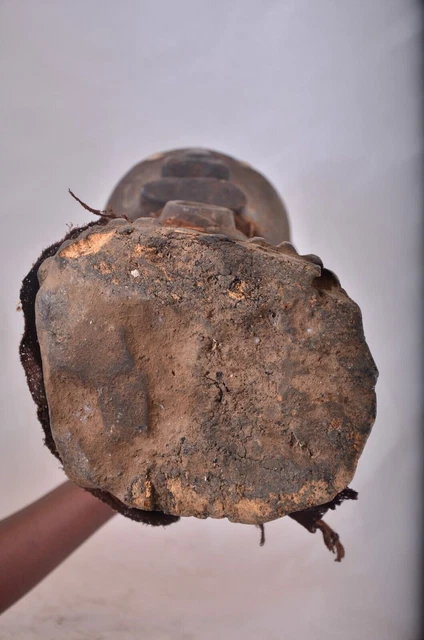 Songye Nkishi Power Figure Congo African Art 11