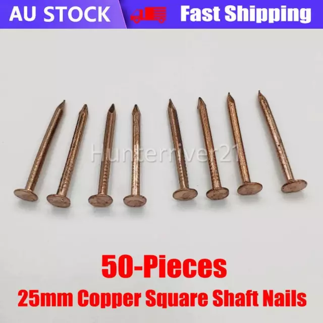 50PCS 25mm Copper Head Square Shaft Nails, Timber Boats/Tree Stump Killer NEW