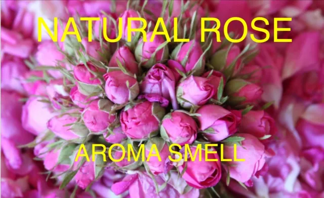 Trockenblumen für natürliches Hochzeitskonfetti - biologisch abbaubar echte trockene Rosenblätter