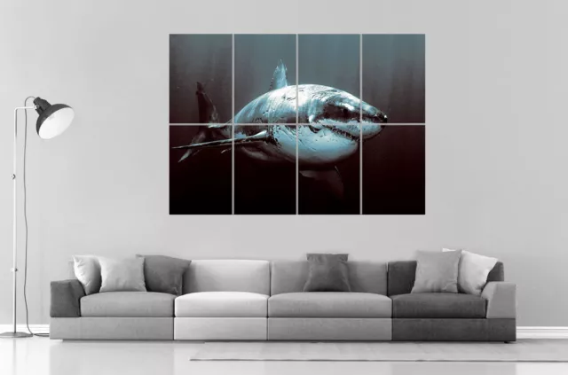 Amazing White Shark Requin Blanc  Wall Art Poster Grand format A0 Large Print