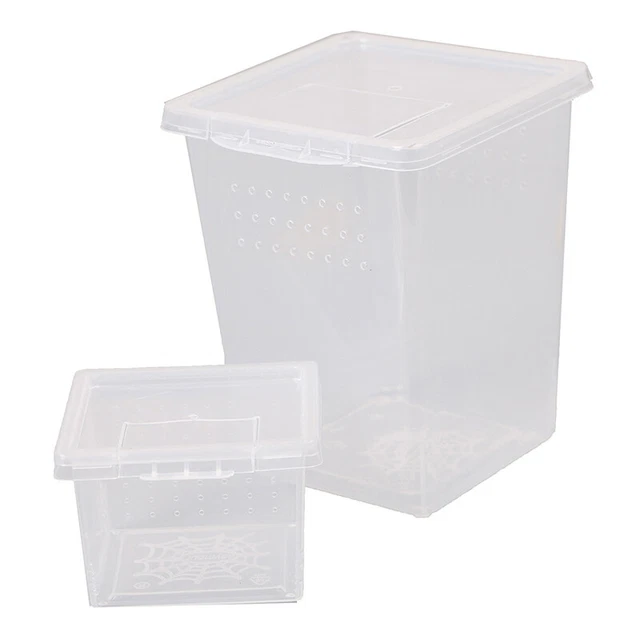 Plastic Insect Spider Habitat Feeding Box Case Container Tank Transport CaseBDS