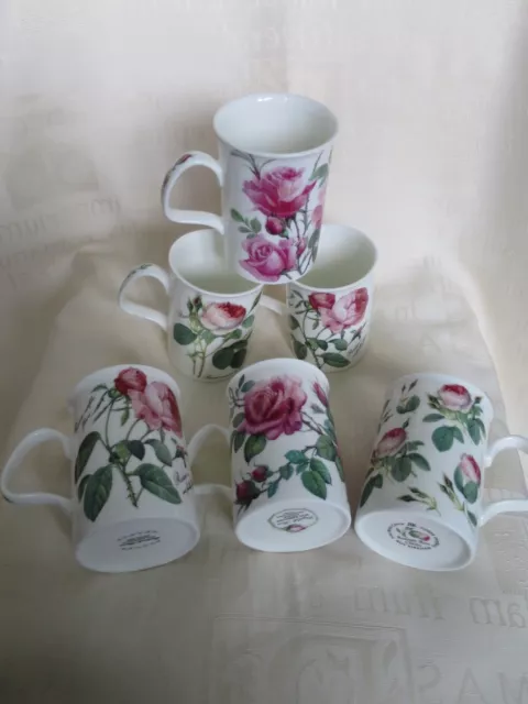 Vintage, 6 Mugs Aux Roses Porcelaine Roy Kirkham England