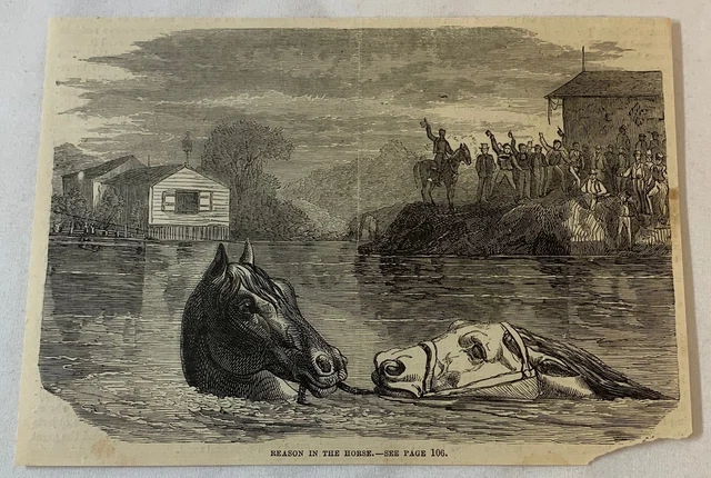 1876 magazine engraving~ HORSE LEADING ANOTHER HORSE THROUGH A RIVER